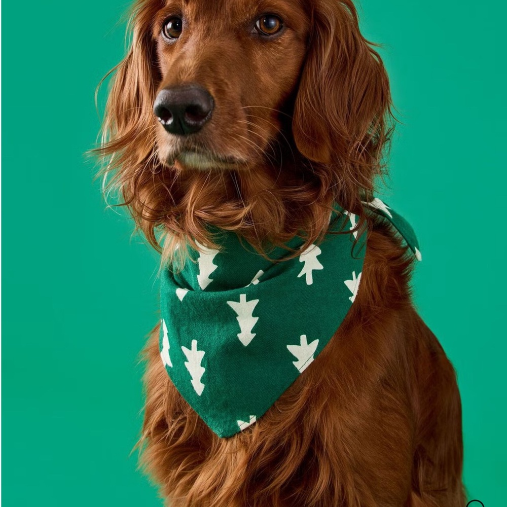 Hanna Andersson Forest Green Dog Bandana with White Tree Design